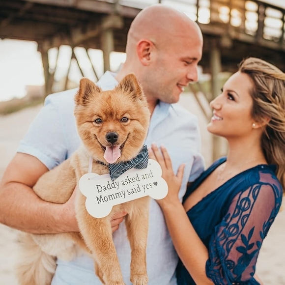 Meet your Posher, Niki - Picture 1 of 1